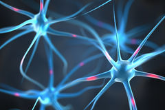 neurones-dans-le-cerveau-44995803